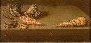 Lezards et coquillages AST, Balthasar van der